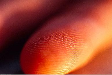 尽管电影口碑翻车 但《无主之地4》已在路上